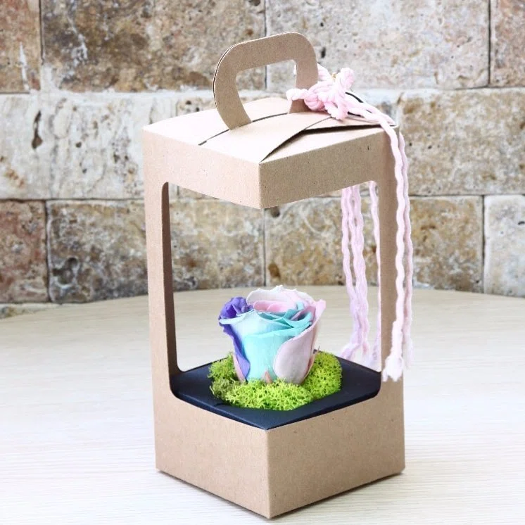 Gökkuşağı Rüyası Pastel Gül