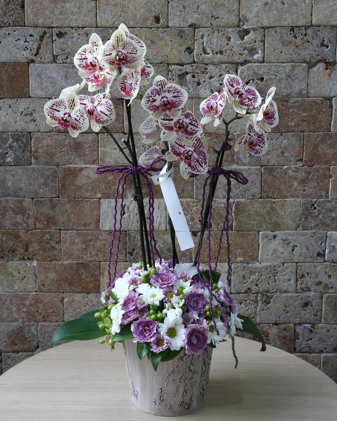 Mor Rüya Benekli Phalaenopsis Orkide Aranjmanı